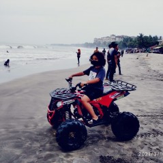 Motor Atv